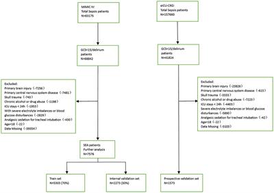 Factor analysis based on SHapley Additive exPlanations for sepsis-associated encephalopathy in ICU mortality prediction using XGBoost — a retrospective study based on two large database